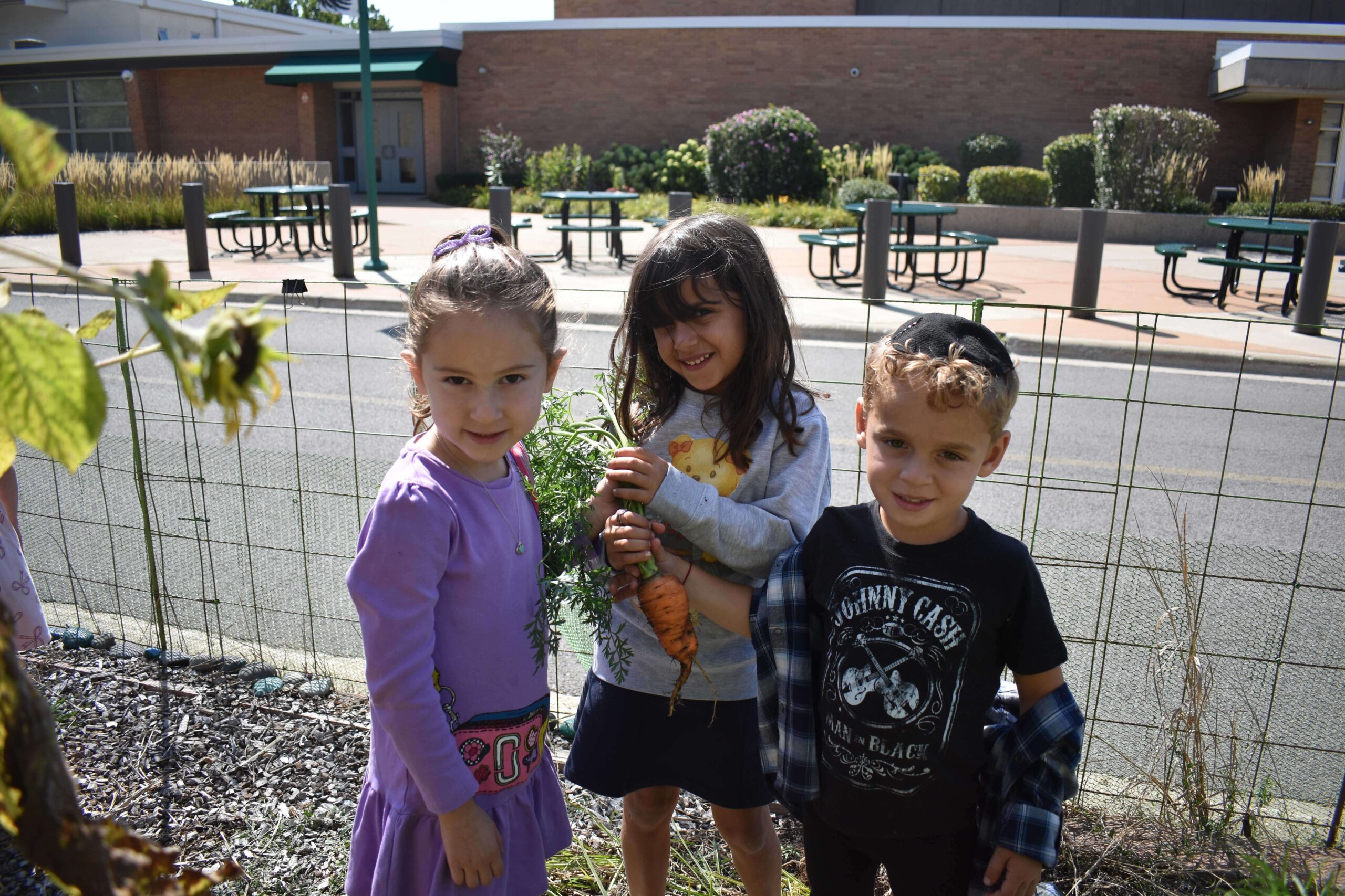 Connection, Learning, and Discovery
